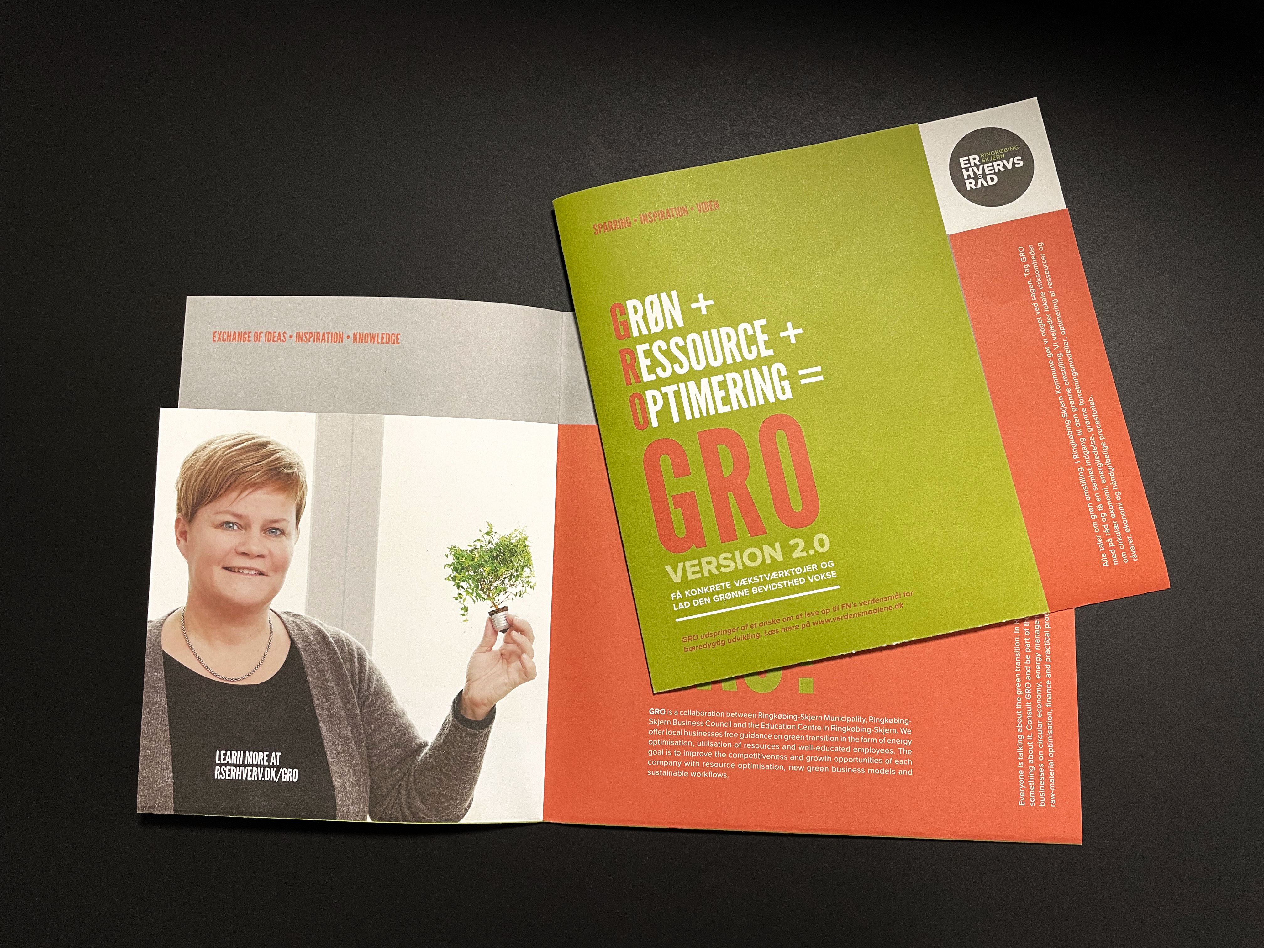 Ringkøbing-Skjern Erhvervsråd brochure