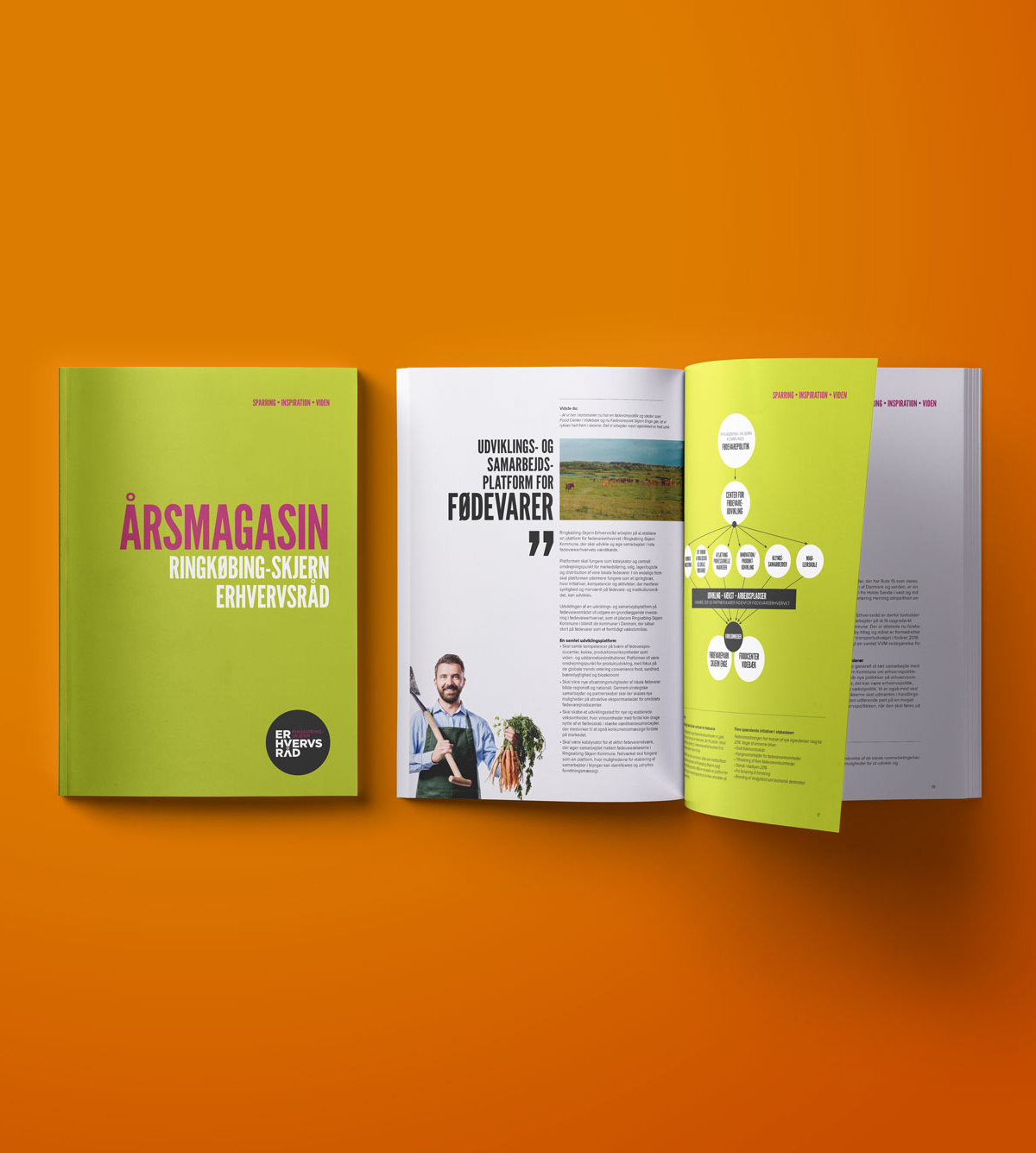 Ringkøbing-Skjern Erhvervsråd magasin opsætning